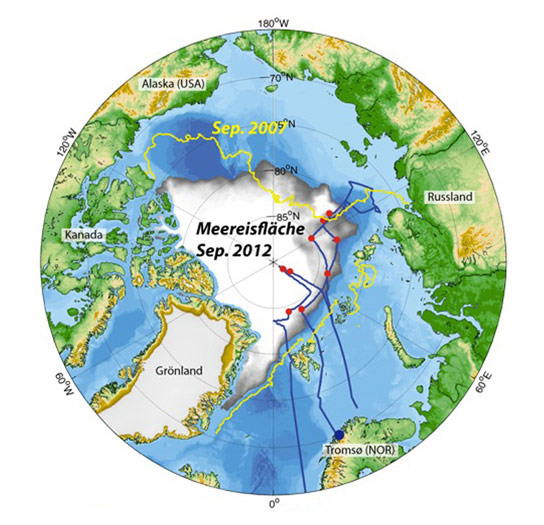 Biodiversity in the Arctic Deep Sea