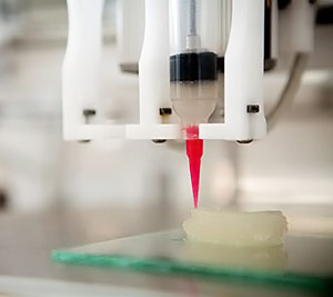 Bioengineers Created An Artificial Ear Using 3D Printing