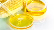 Biofuel Corn Illustration