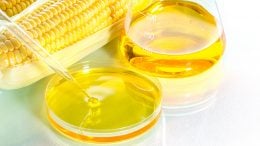 Biofuel Corn Illustration