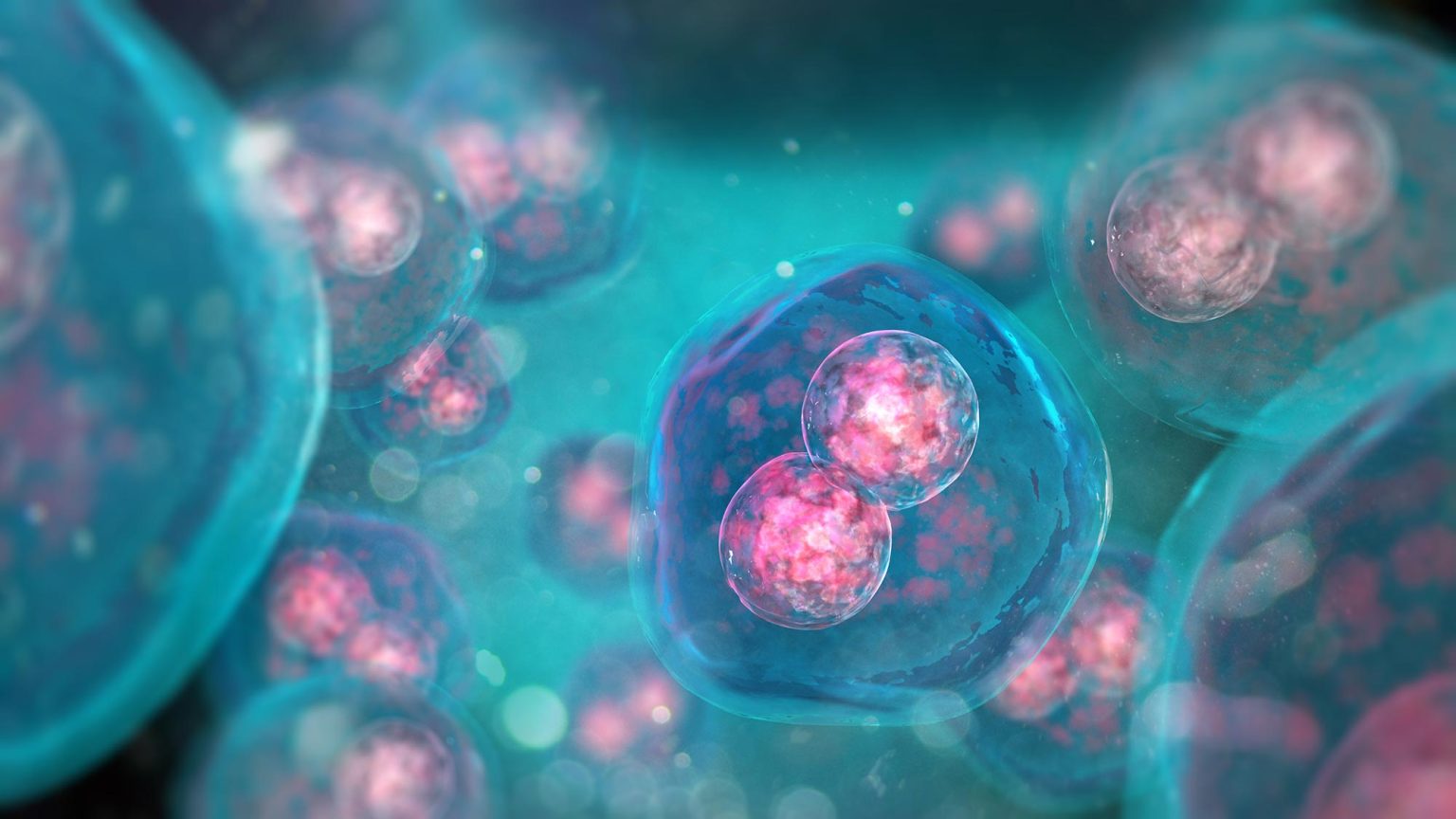 Groundbreaking Biological “Artificial Intelligence” System Could Make ...