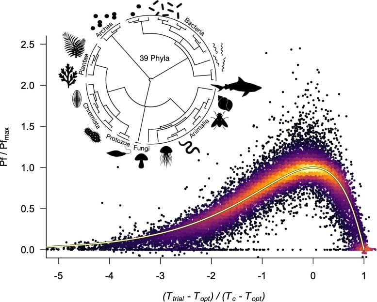 Biological Performance Across the Tree of Life