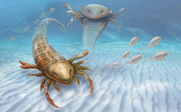 Biologists Discover Giant Sea Scorpion Pentecopterus