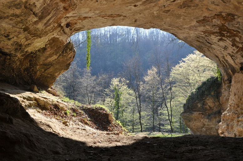 Biologists Sequence A New Neandertal Genome