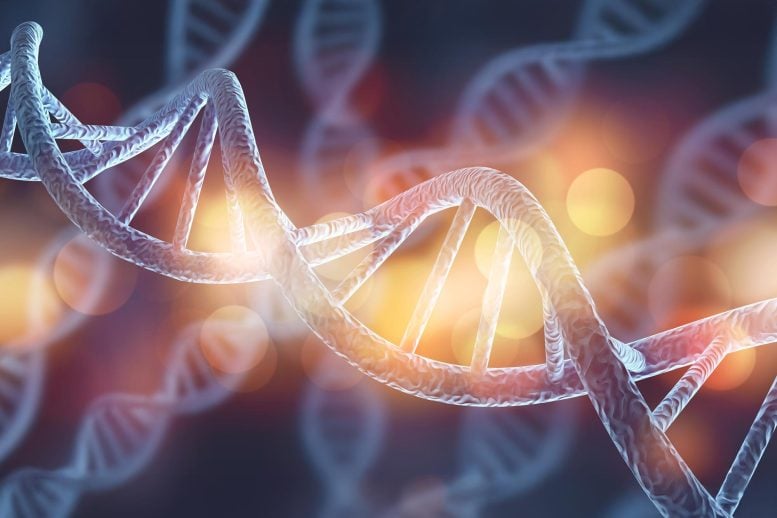 Biology DNA Science Genetics