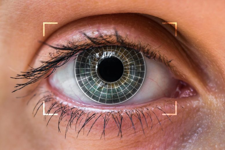 Biometrics Eye Scan
