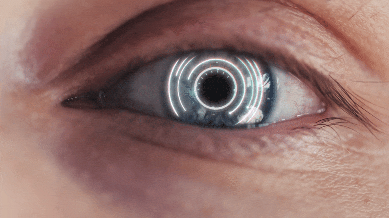 Advanced Computer Model Enables Improvements to “Bionic Eye” Technology