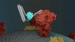 Biosensor Binding to Molecule and Emitting Light