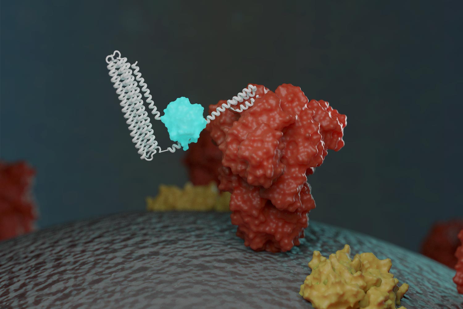 Photo of Coronavirus Proteins