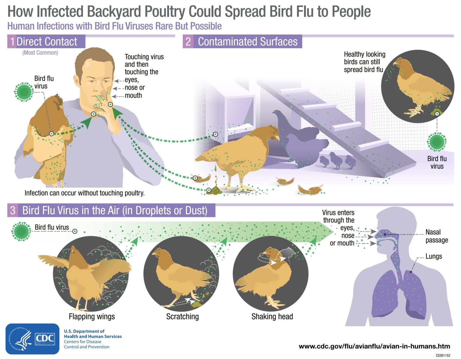 Will the Largest Bird Flu Outbreak in History Lead to a Human Pandemic?