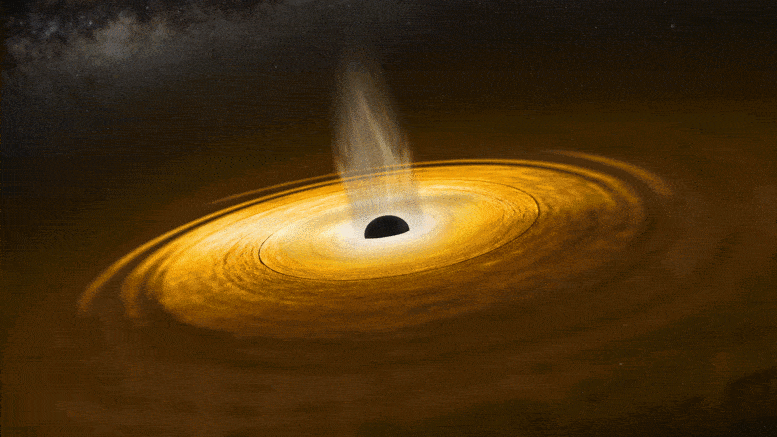 Black Hole Corona Dynamic Behavior