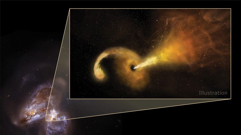 Black Hole Destroys a Star