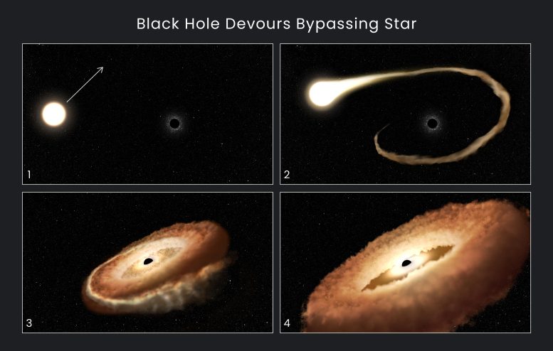 Black Hole Devours Bypassing Star Illustration