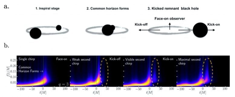 مراحل اندماج الثقب الأسود
