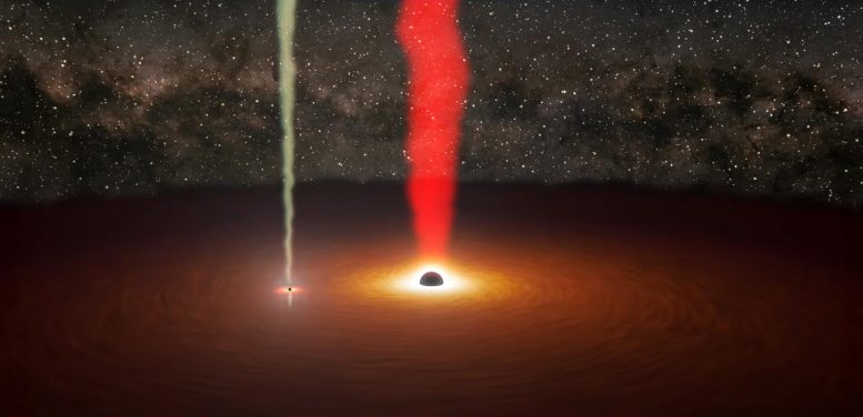 Black Hole Pair Illustration