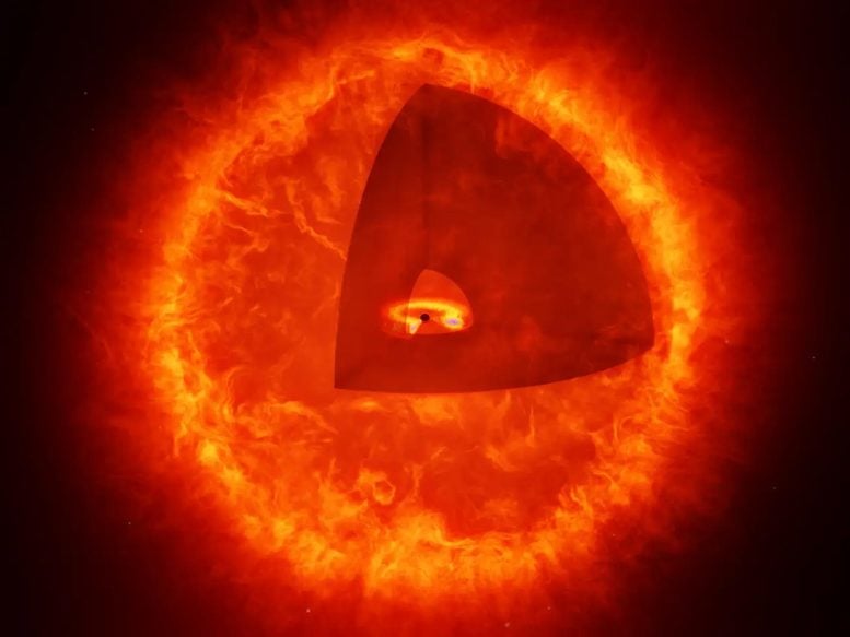 Black Hole Star