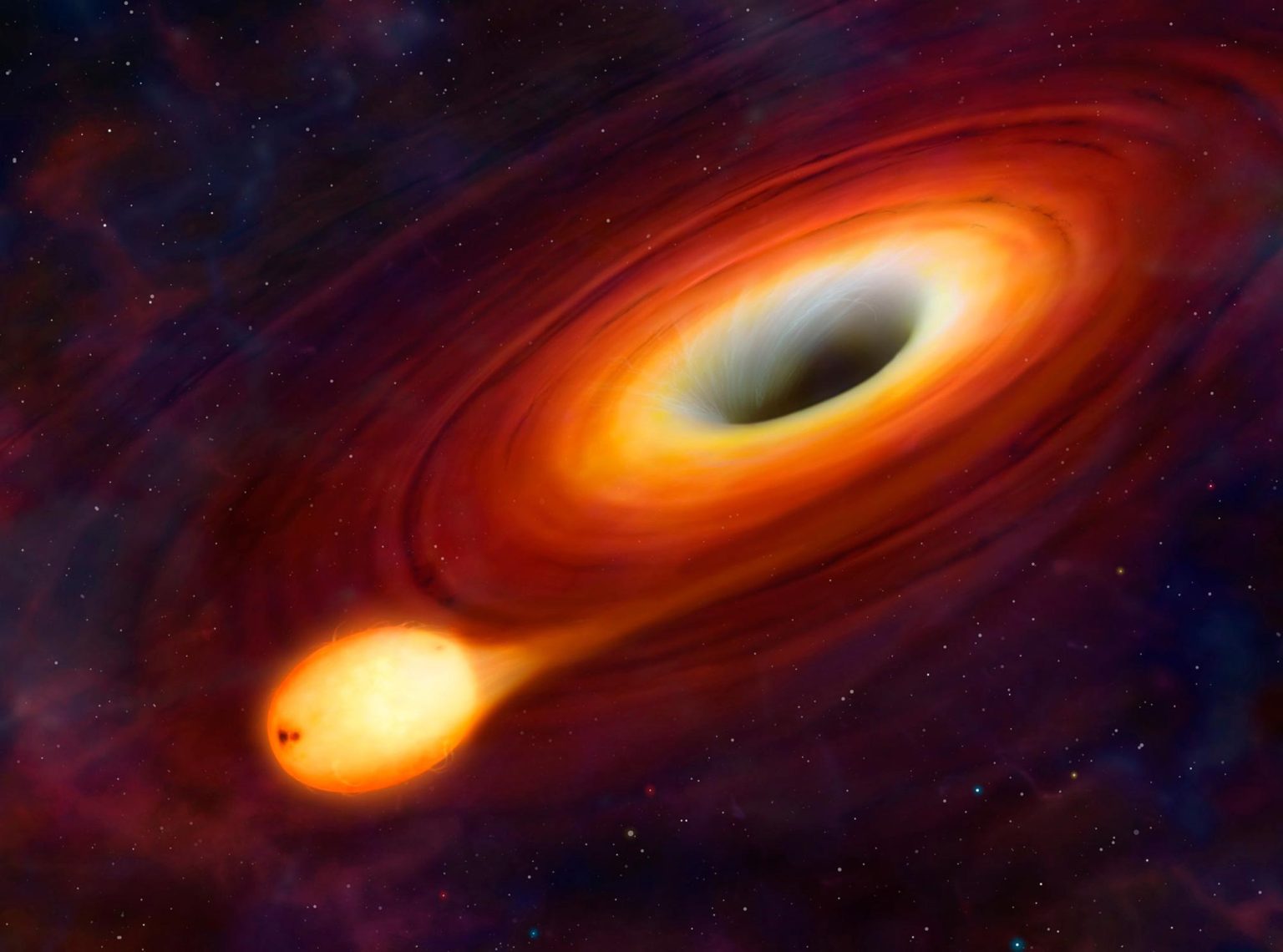 When Stars Fall Prey to Black Holes: Unraveling the Mystery of Tidal ...