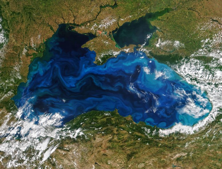 Black Sea Currents
