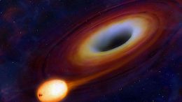Black holes feed on stars