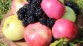 Blackberries and Apples