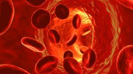 Blood Cells Flowing