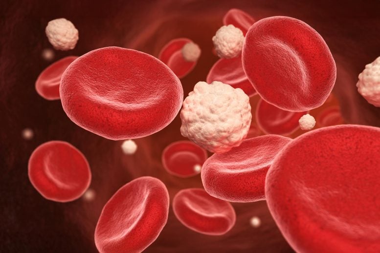 Blood Cells and Glucose Vein