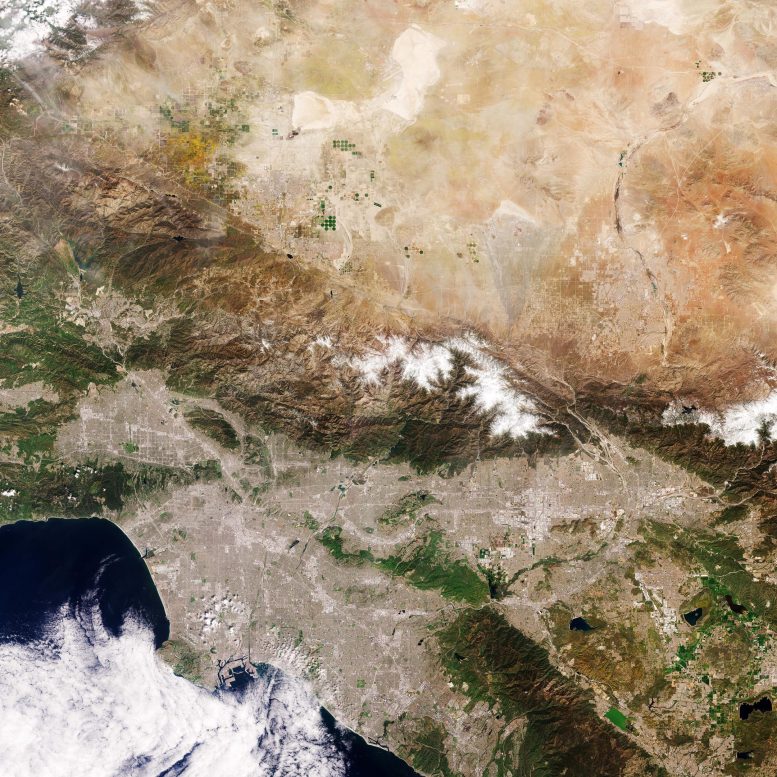 Esplorare la Terra dallo spazio: California in fiore
