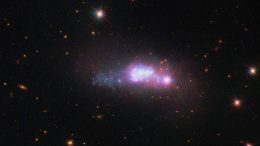 Blue Compact Dwarf Galaxy ESO 338 4