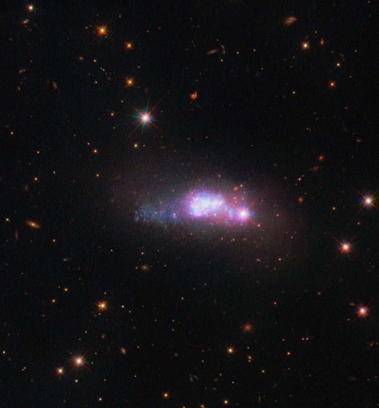Blue Compact Dwarf Galaxy ESO 338 4