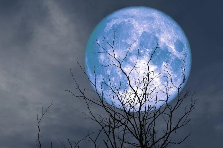 Don T Miss Rare Seasonal Blue Moon Rises Tonight