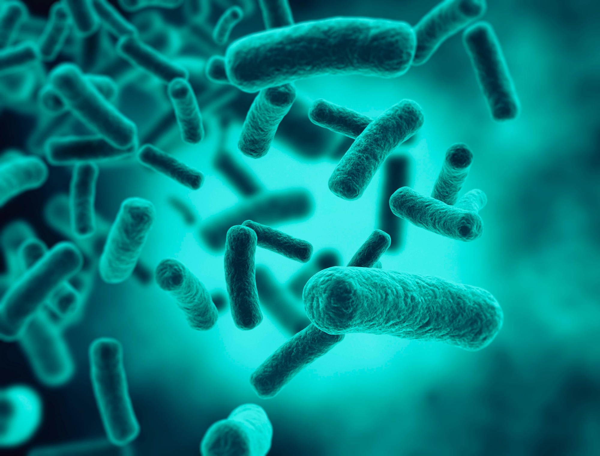 A study conducted by researchers from Florida Atlantic University and various international institutions has revealed that Vibrio bacteria, which can 