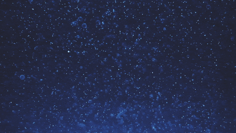 Blue Particles Abstract