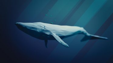 deep blue shark tracker 2021
