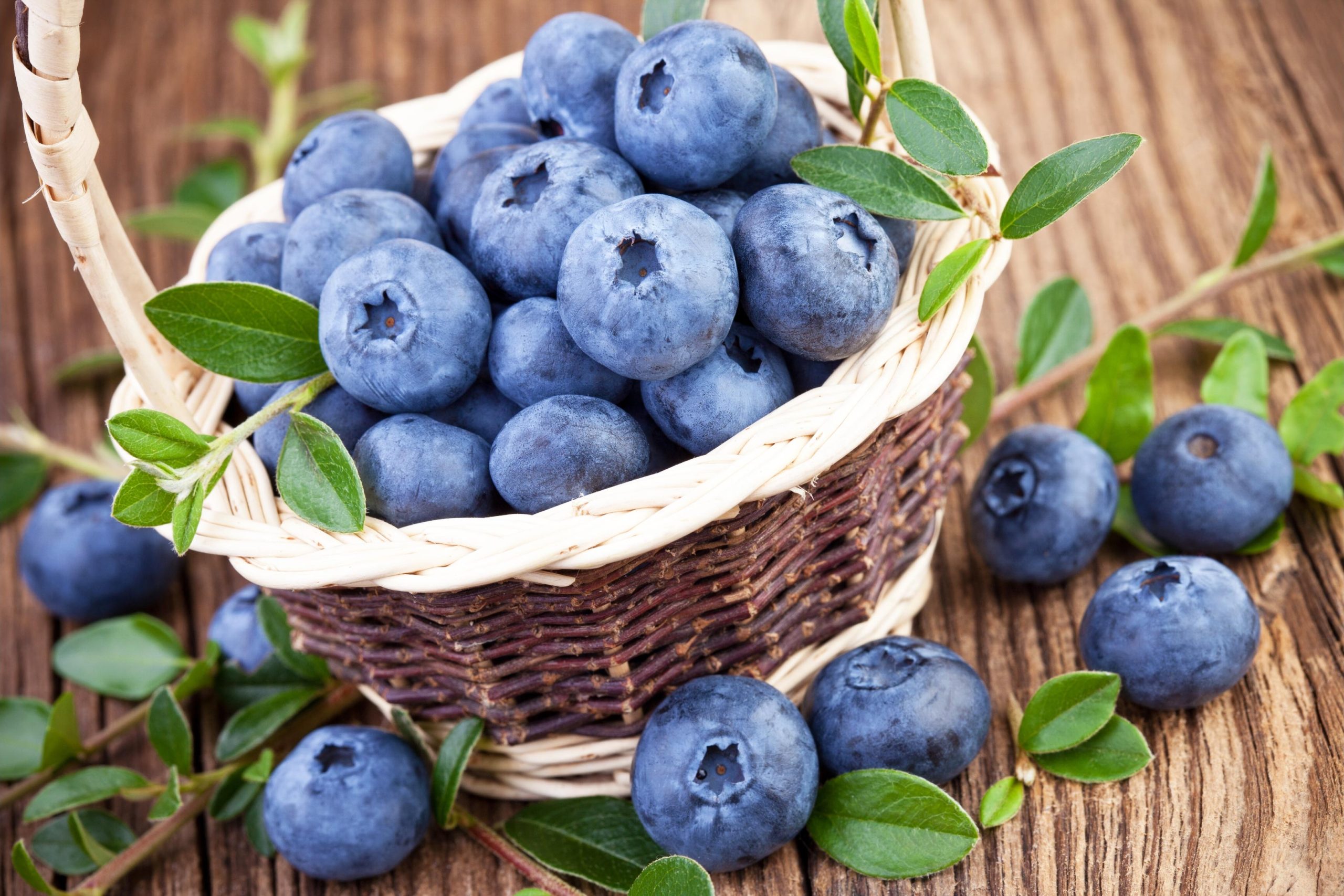 Eating Blueberries Regularly May Reduce Risk of Dementia