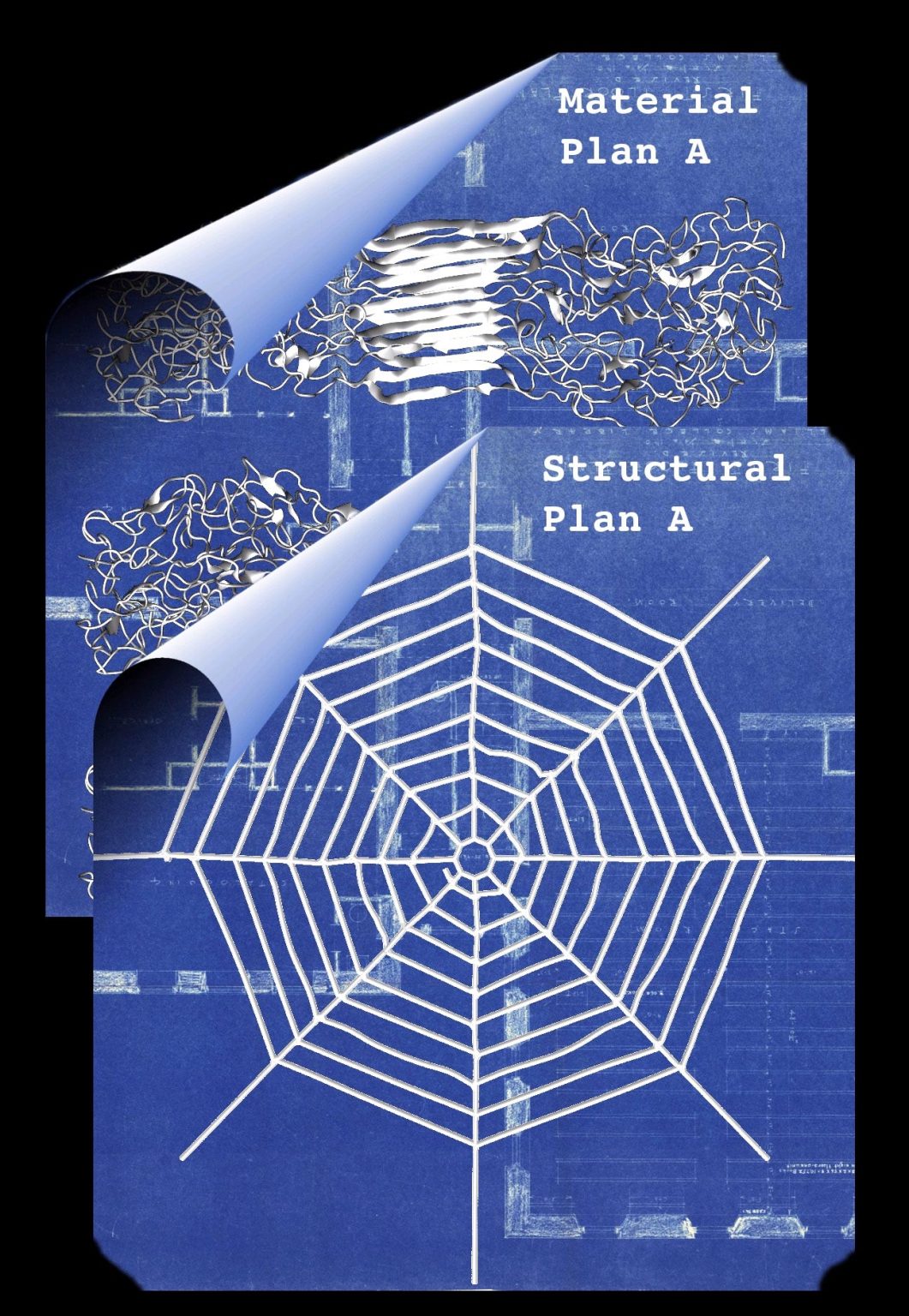 Researchers Use Computer Simulations to Better Understand Spider Silk