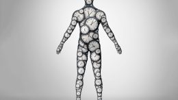 Body Clock Circadian Rhythm Concept