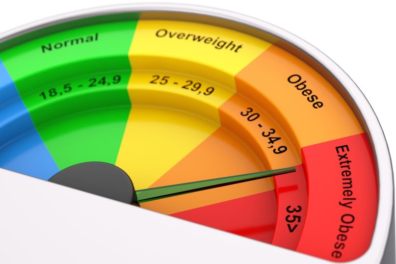 Body Mass Index BMI Scale Meter Dial