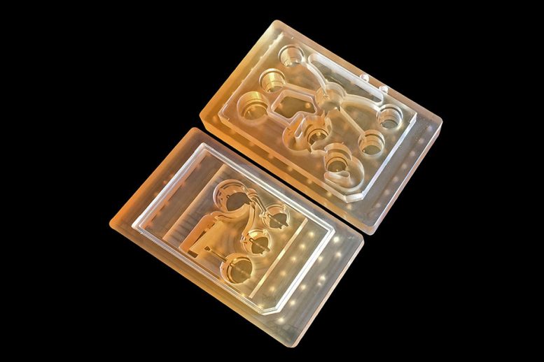 Body on a Chip Will Improve Human Drug Evaluation