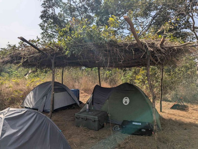 Bo&eacute; National Park Research Camp