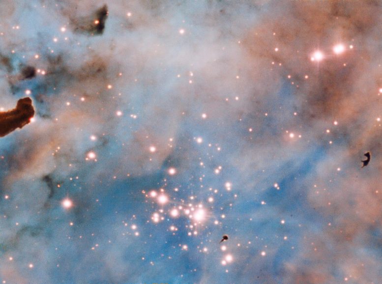 Bok Globule in the Carina Nebula