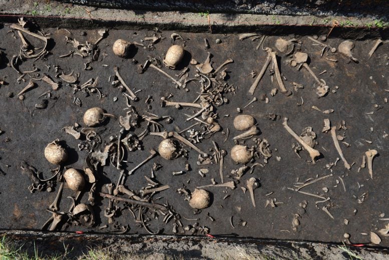 Bones at German Bronze Age Battle Site