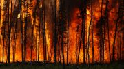 Boreal Forest Fire in Canada
