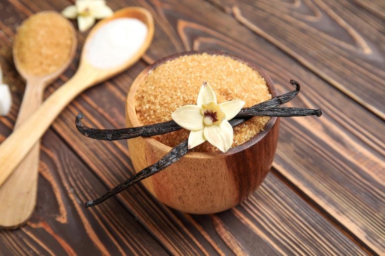 Bowl Aromatic Vanilla Sugar Flower Sticks