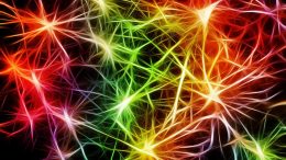 Brain Activity Excited Nerve Cells Illustration