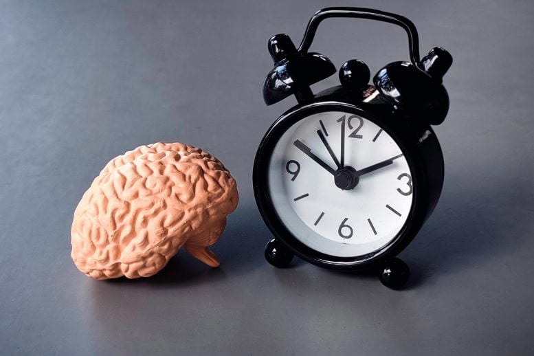 Brain Alarm Clock Wake Up