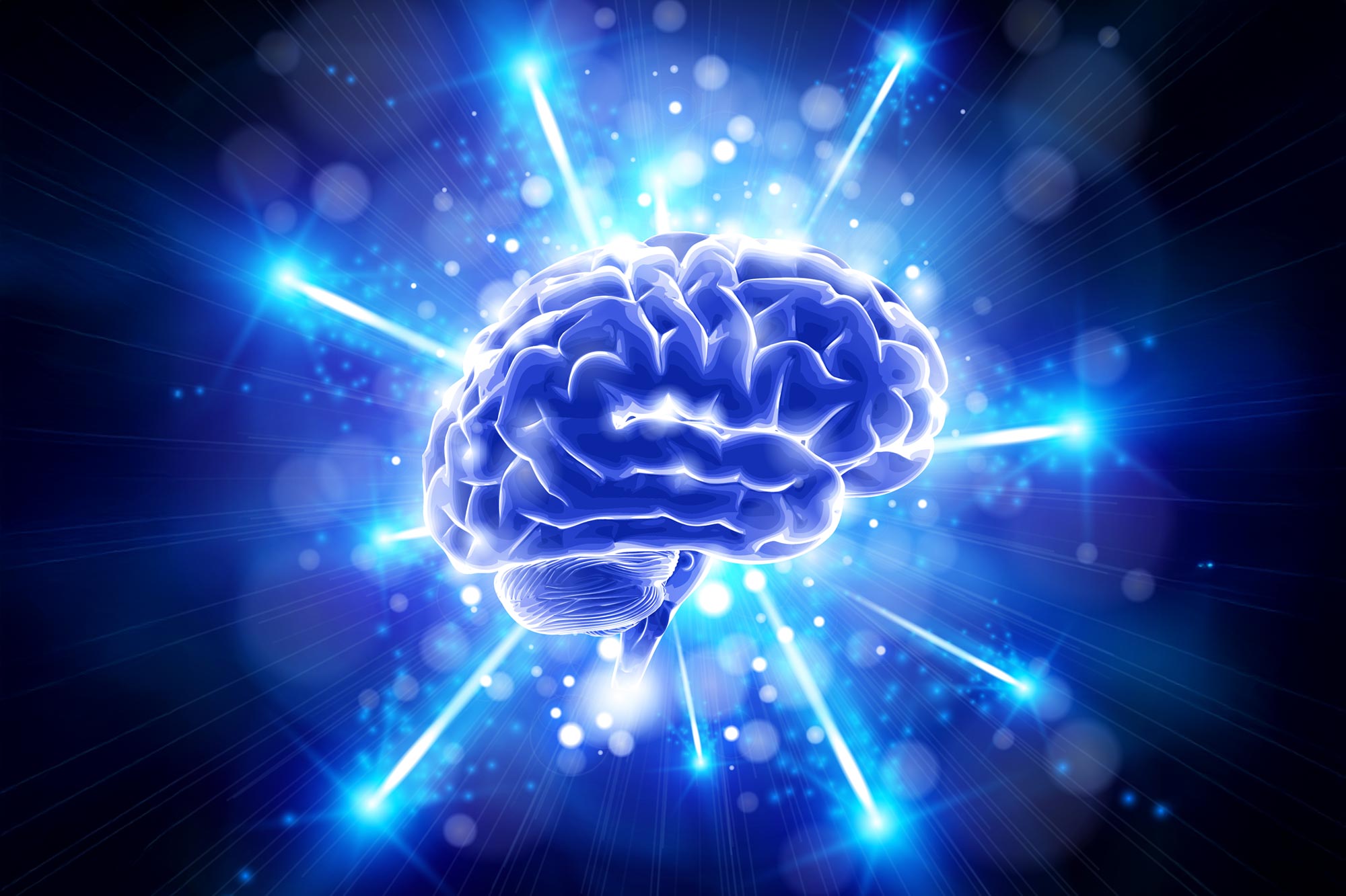 This Diet Could Delay Brain Aging by Years, According to Scientists - SciTechDaily