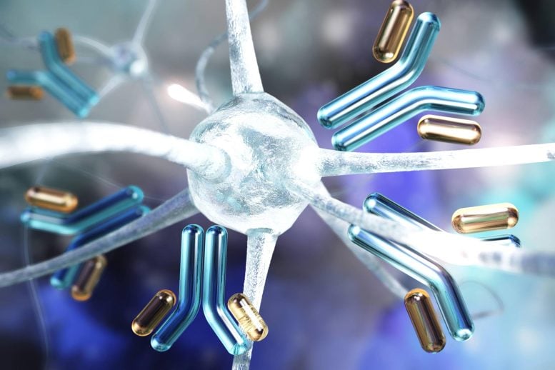 Brain Cell Neuron Antibodies Ganglion