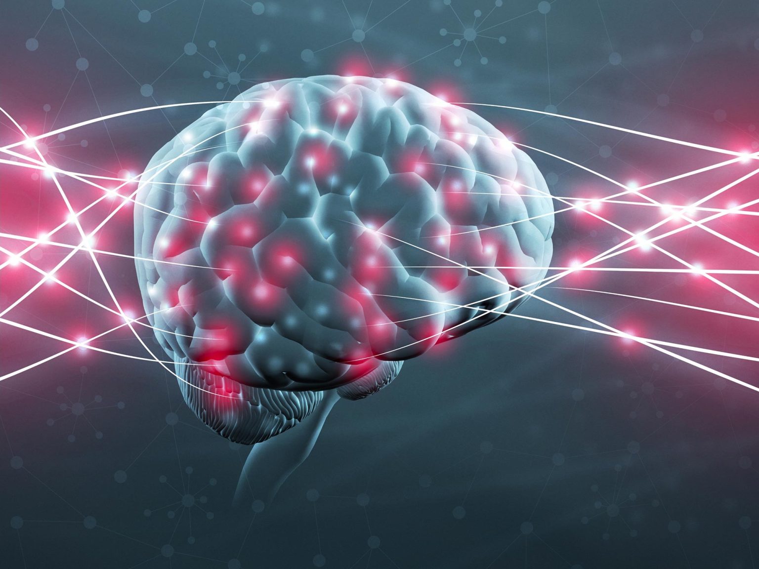 Where Are Memories Stored in the Brain? They May Be in the Connections