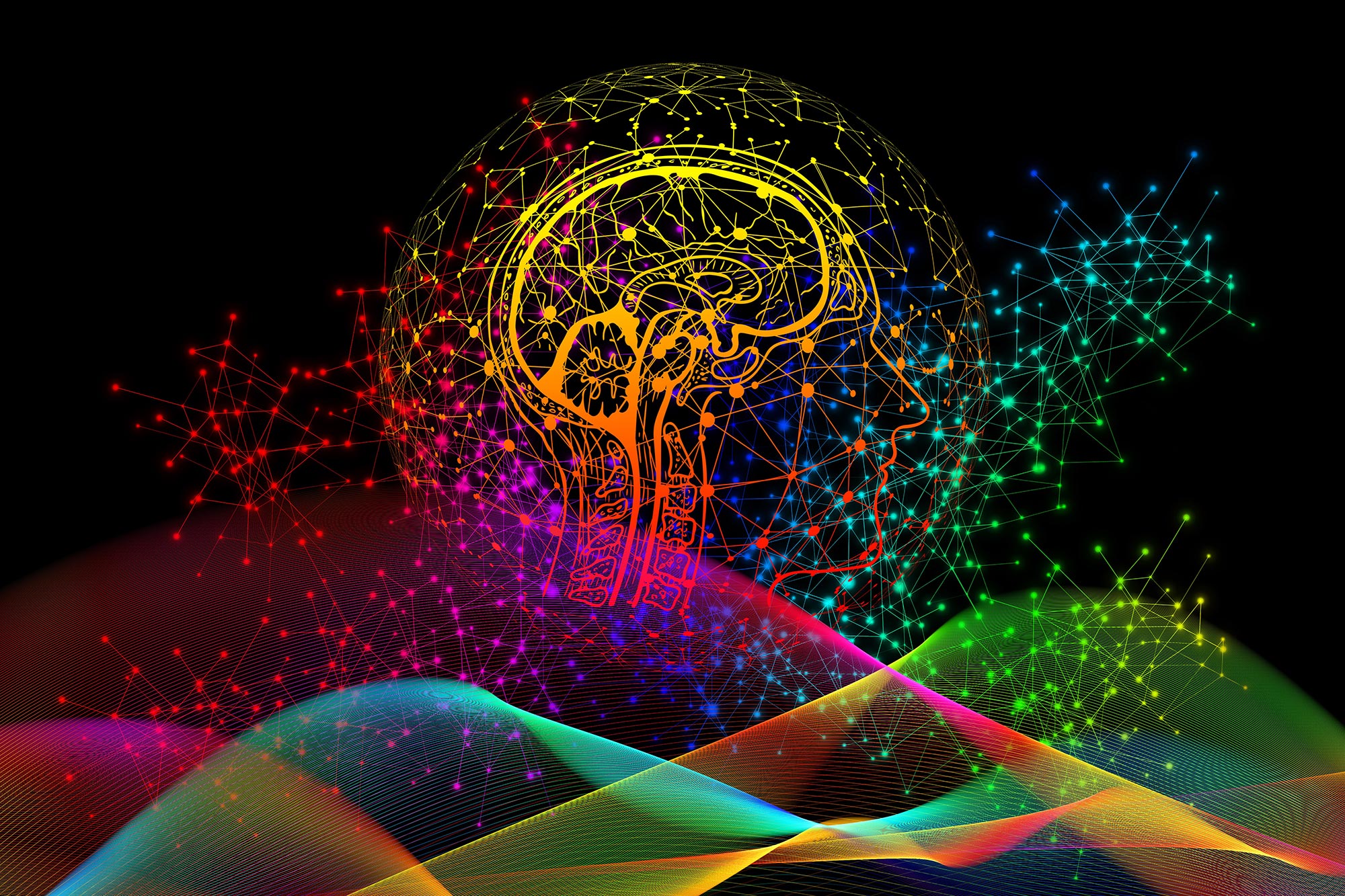 Unlocking the Brain's Secrets: Where Does Conscious Experience Truly Reside?