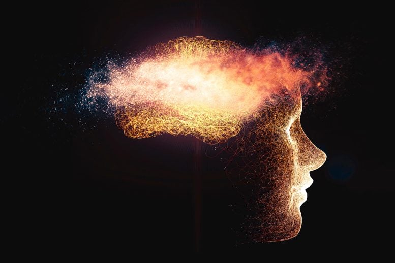 Brain Degeneration Memory Lapse Dementia